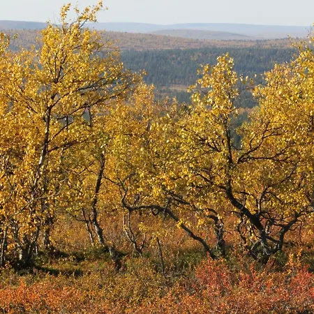 Ounasloma * Enontekiö