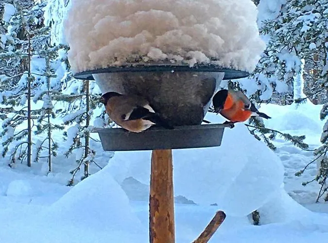 Casa de Férias Ounasloma *