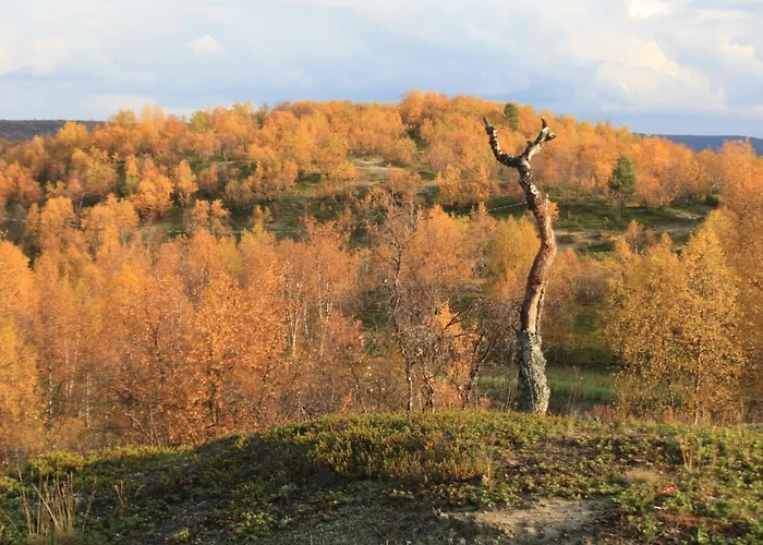 Ounasloma * Enontekiö