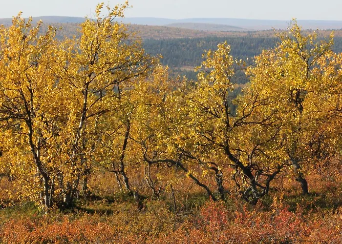 Ounasloma * 埃农泰基厄