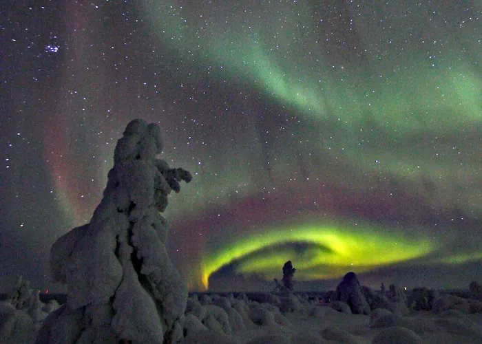 Ounasloma 度假居 *
